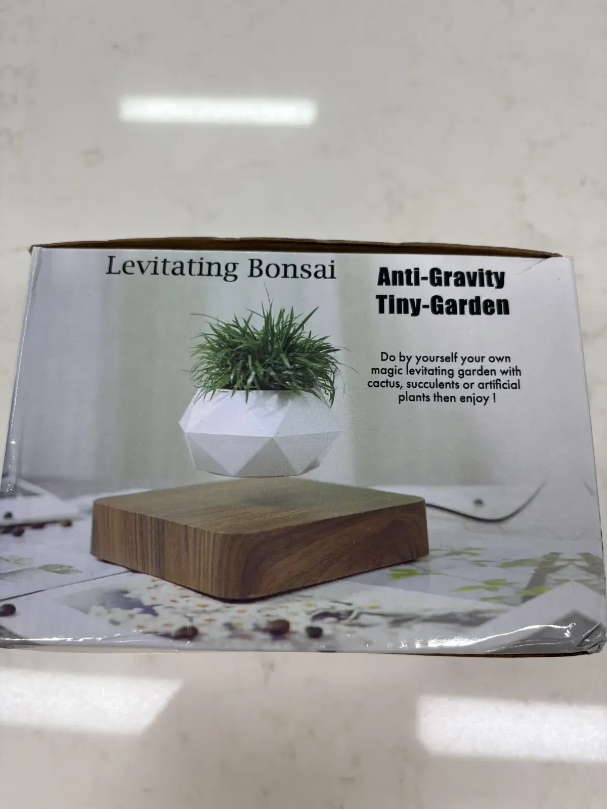 공중부양 화분 부양 모습